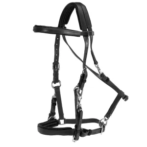 Horse Sense Endurance Bridle