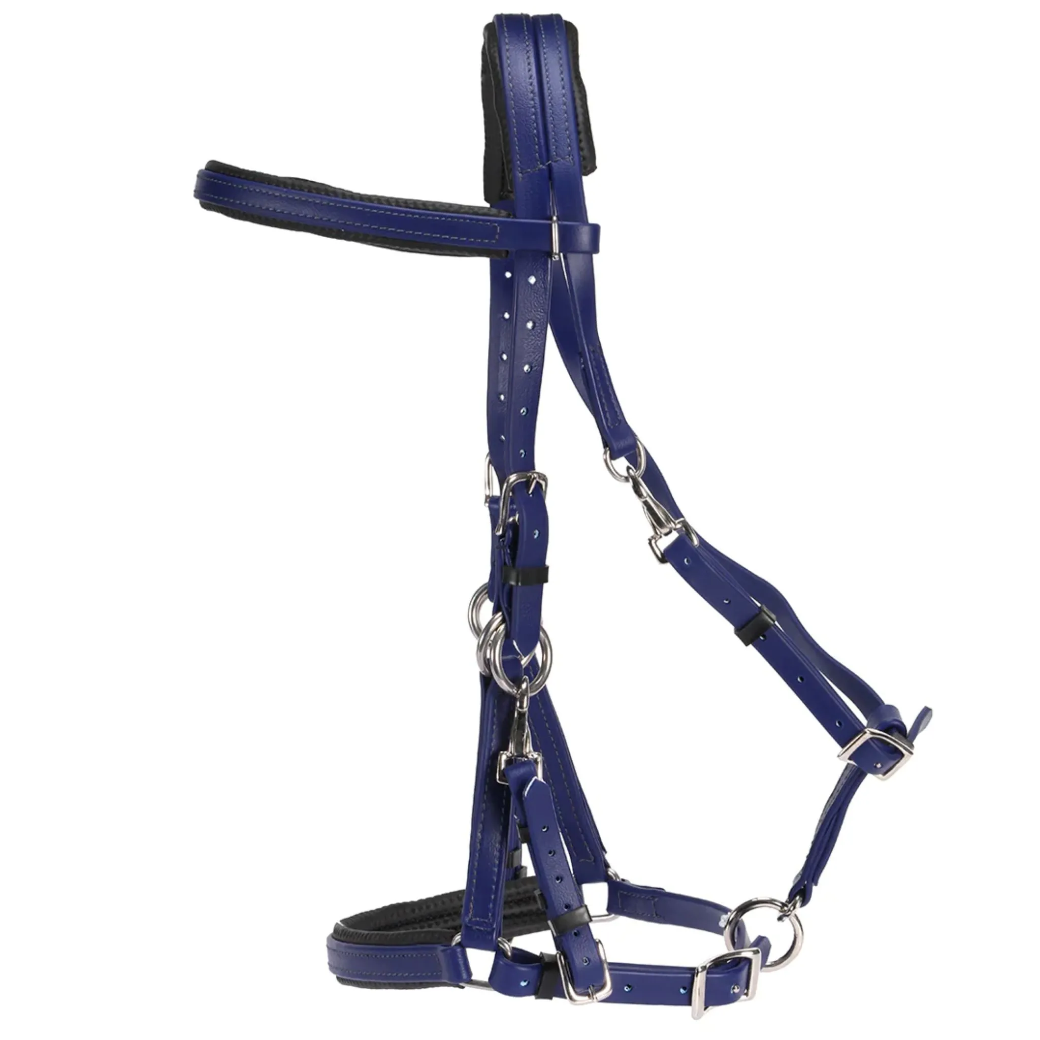 Horse Sense Endurance Bridle