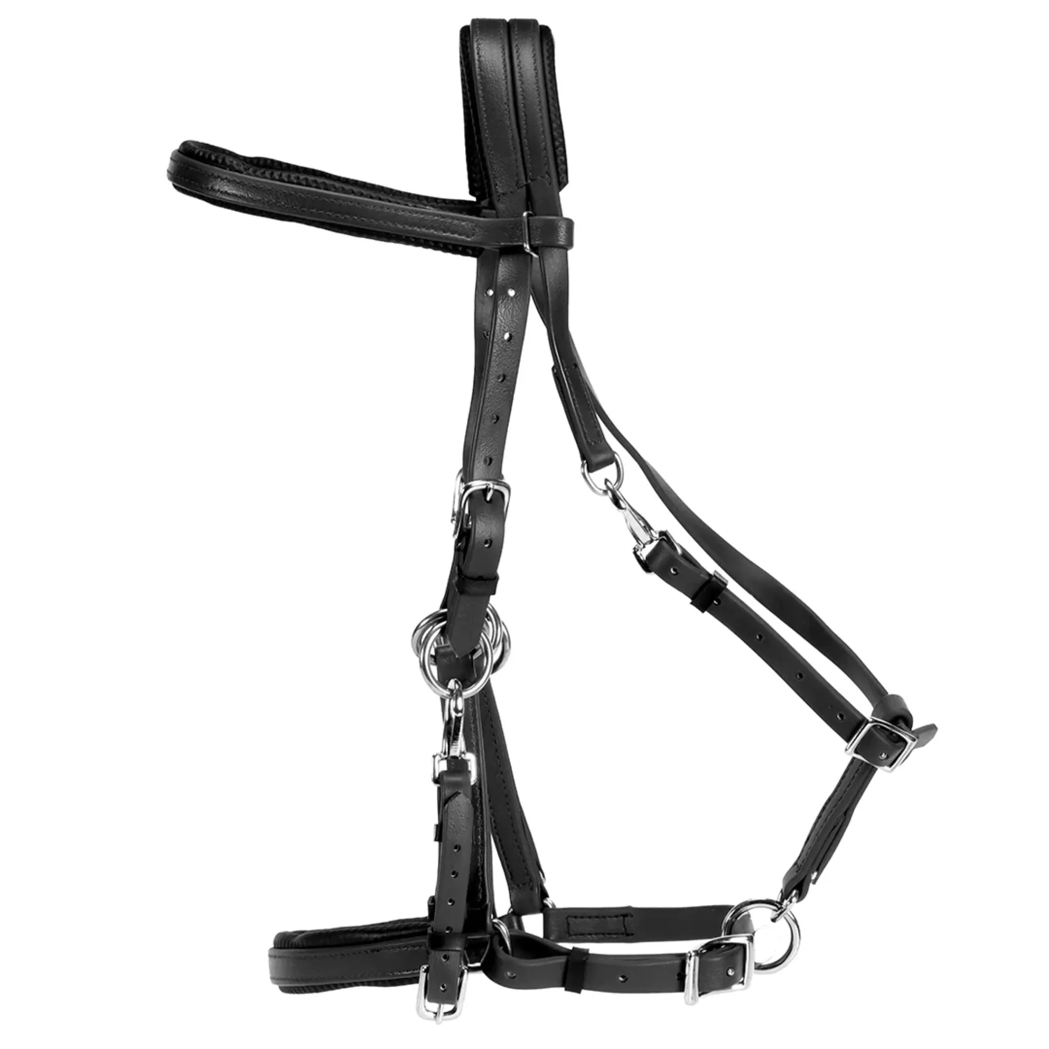 Horse Sense Endurance Bridle