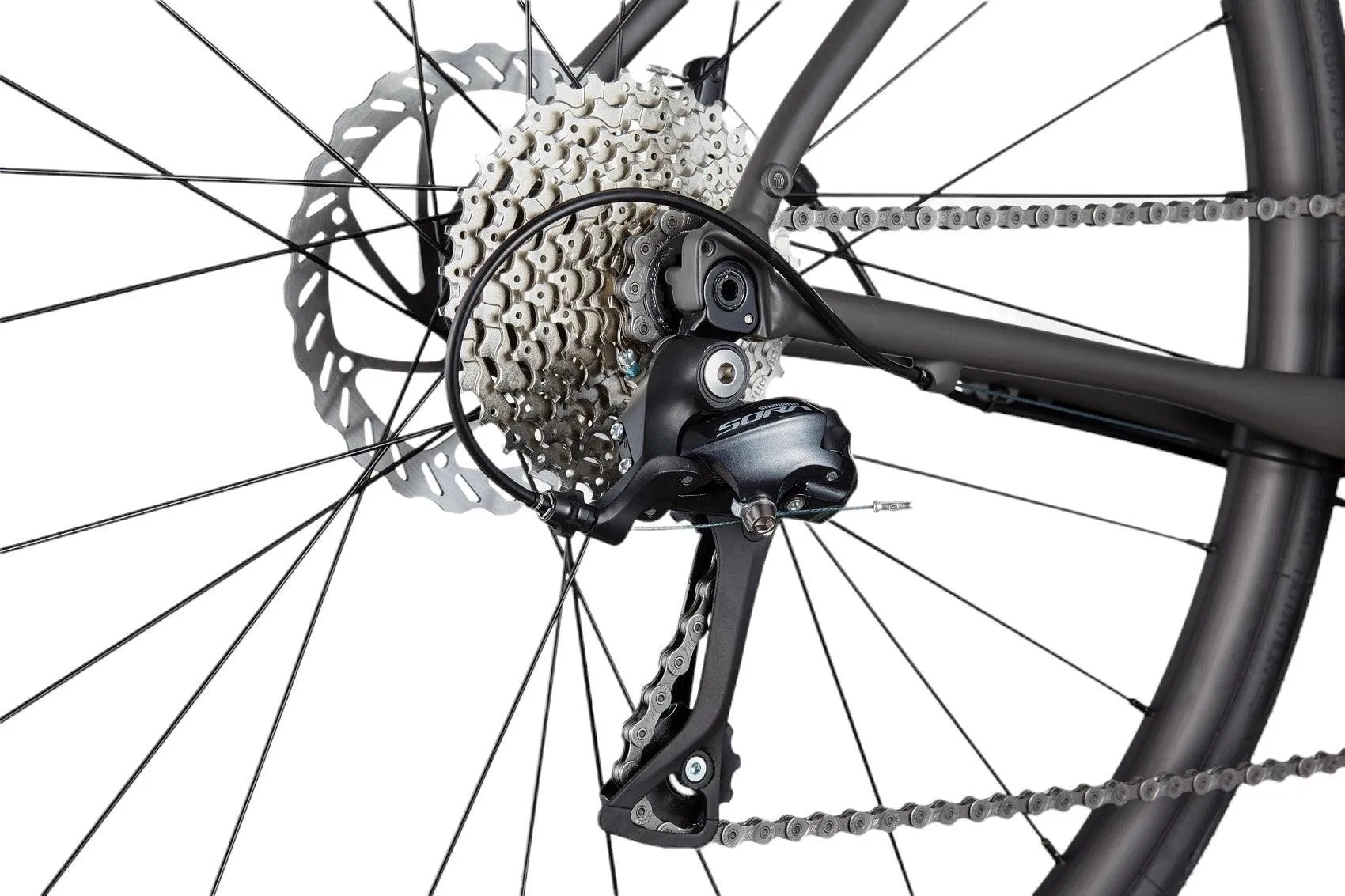 Synapse 3